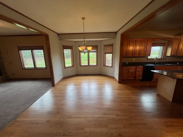 kitchen with plenty of natural light and light wood-type flooring