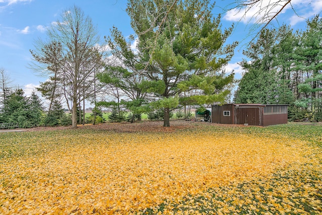 view of yard with an outdoor structure