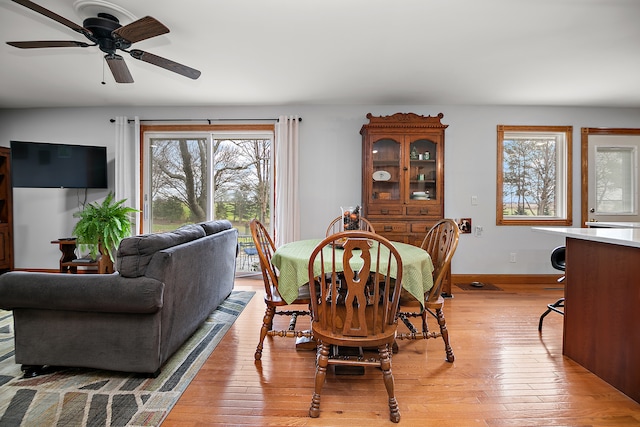 dining space featuring light hardwood / wood-style flooring and ceiling fan