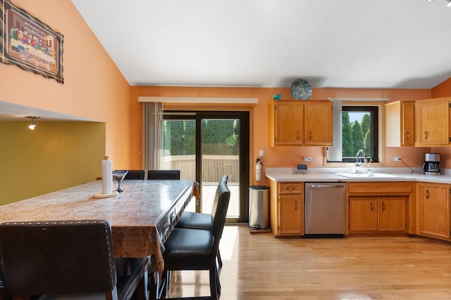 kitchen with stainless steel dishwasher, plenty of natural light, and lofted ceiling