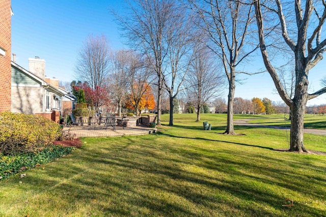 view of yard featuring a patio