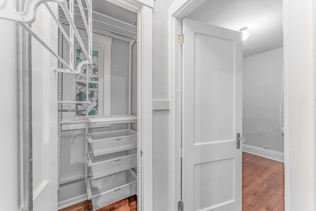 spacious closet featuring wood-type flooring