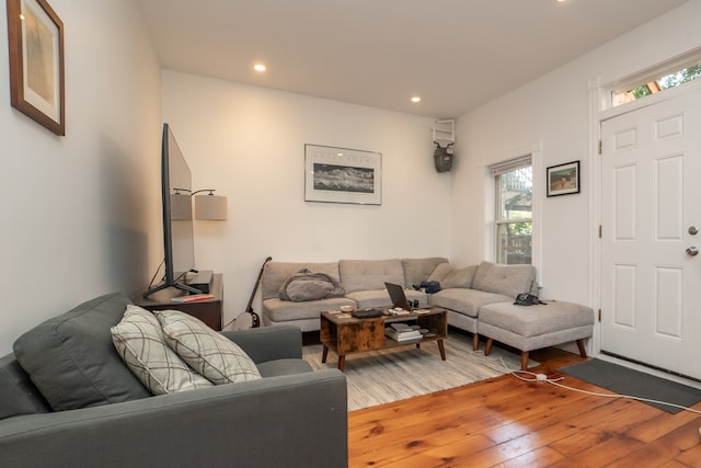 living room featuring hardwood / wood-style flooring