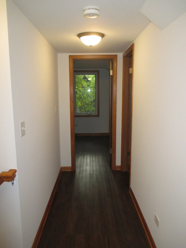 hallway featuring dark hardwood / wood-style flooring