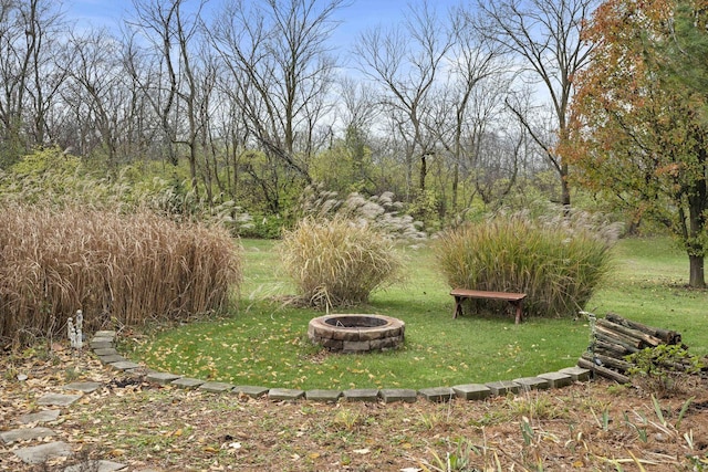 view of yard with a fire pit