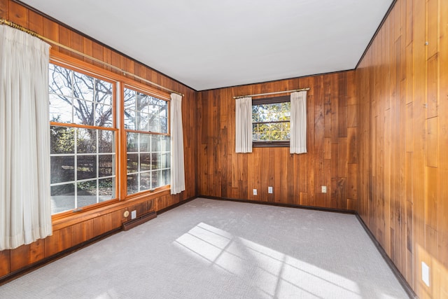 spare room featuring wood walls, a healthy amount of sunlight, and light carpet