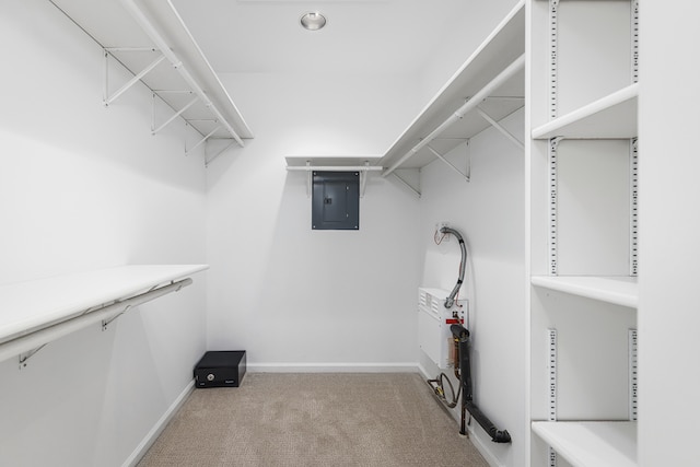 walk in closet featuring electric panel and light carpet