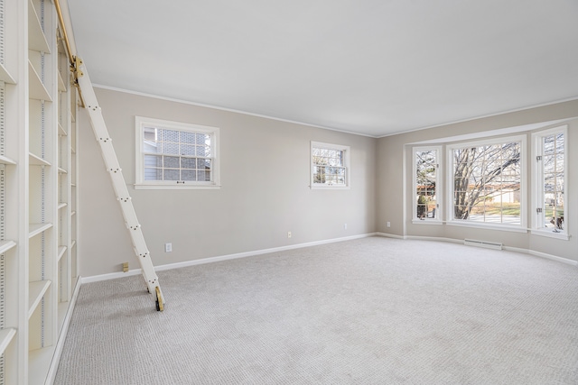 spare room featuring carpet and crown molding