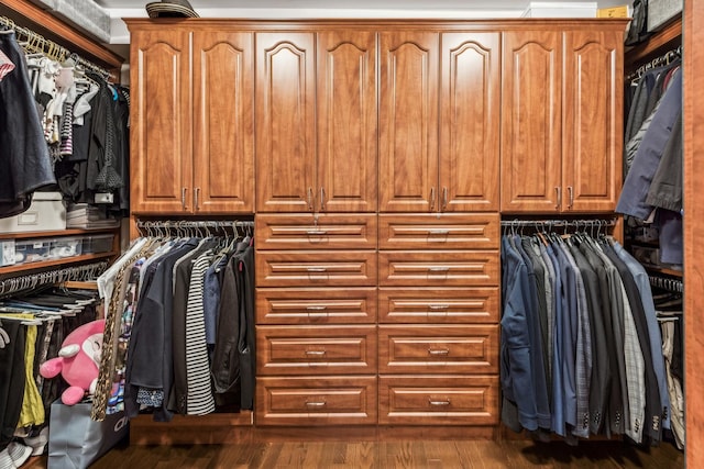 walk in closet featuring dark wood-type flooring