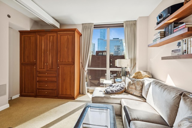 view of carpeted living room