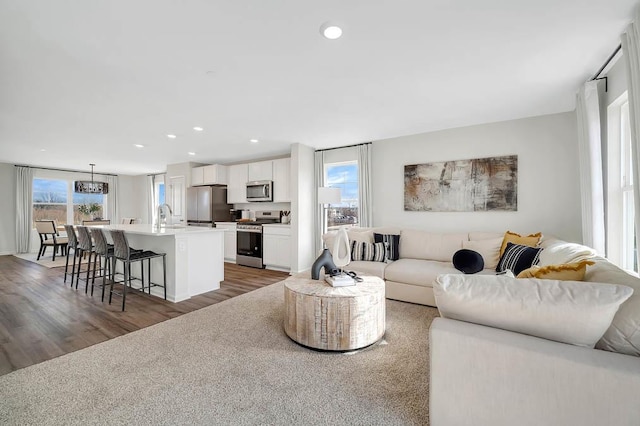 living room featuring dark hardwood / wood-style floors and sink