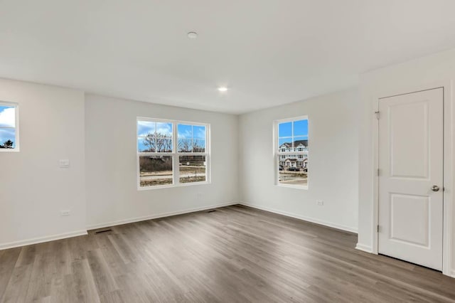 spare room featuring wood-type flooring