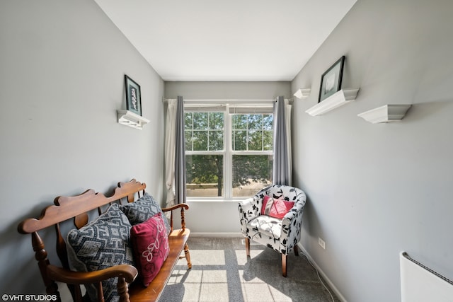 living area featuring carpet flooring