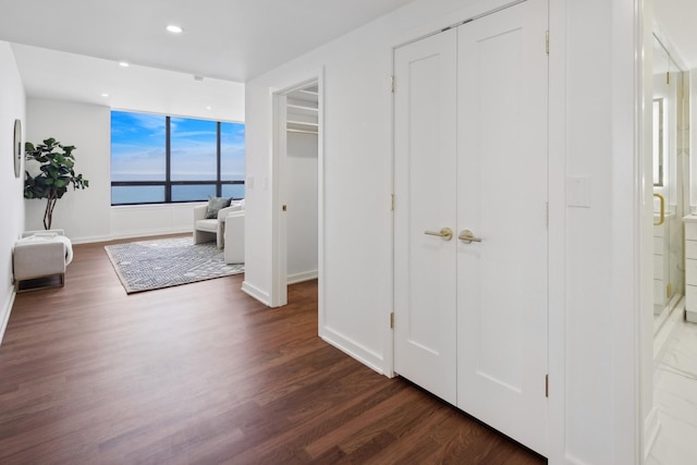 180 E Pearson St Unit 5401, Chicago, IL 60611 - bedroom featuring baseboards, recessed lighting, and dark wood-type flooring