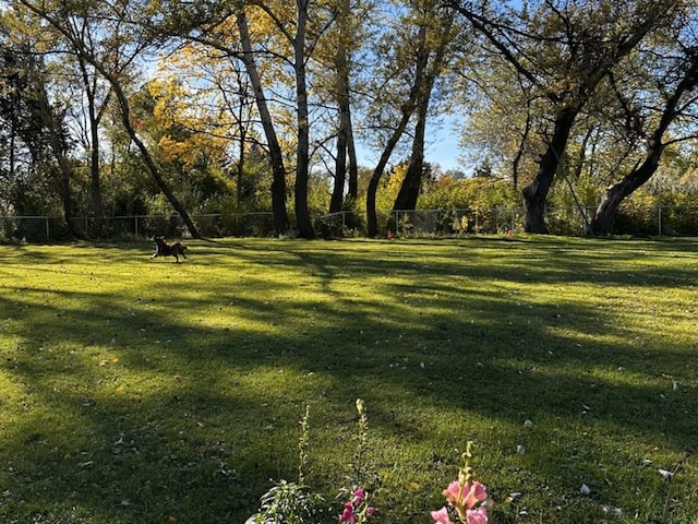 view of yard with fence