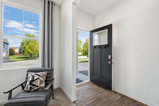 entrance foyer with dark hardwood / wood-style flooring