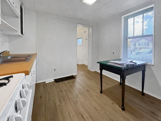 interior space featuring light wood-type flooring and sink