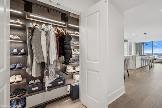 view of closet