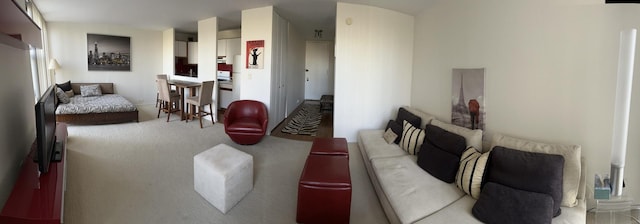 3021 S Michigan Ave Unit 311, Chicago, IL 60616 - living room featuring light colored carpet