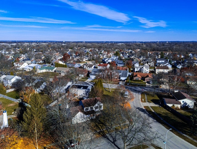 bird's eye view