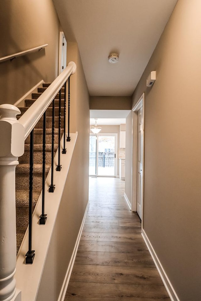 corridor with wood-type flooring