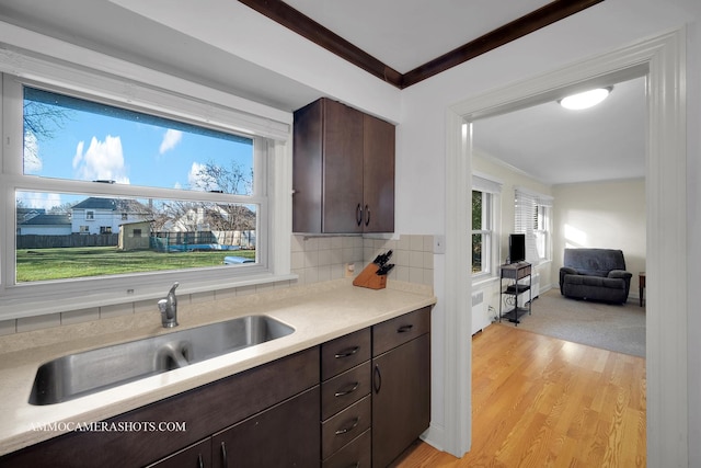 kitchen with dark brown cabinetry, sink, light hardwood / wood-style flooring, backsplash, and crown molding