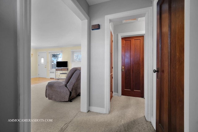 corridor featuring carpet floors