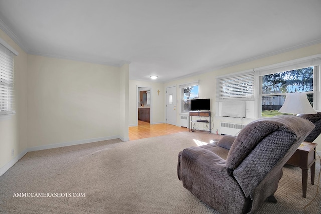 carpeted living room with radiator heating unit and crown molding