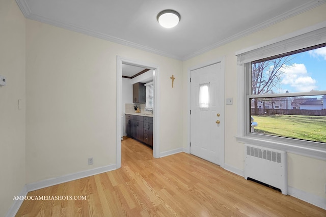 foyer featuring light hardwood / wood-style floors, radiator, ornamental molding, and sink