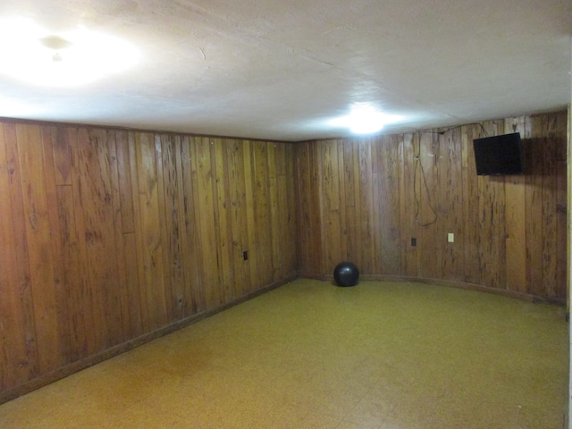 basement with wooden walls