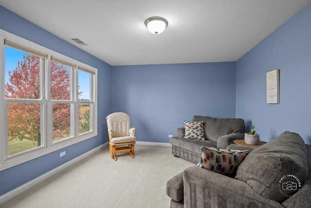 sitting room featuring carpet flooring