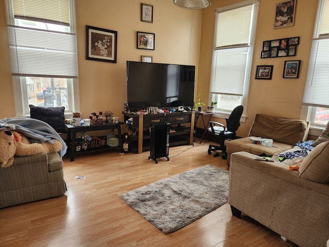 living room with a wealth of natural light and light hardwood / wood-style floors