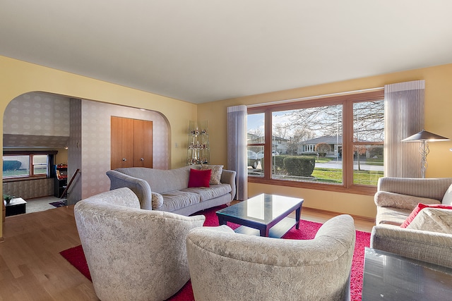 living room featuring wood-type flooring