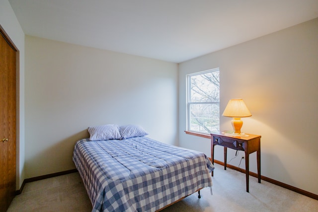 bedroom featuring carpet floors and a closet