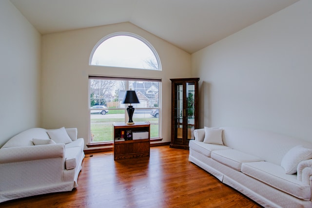 living room with hardwood / wood-style flooring and vaulted ceiling