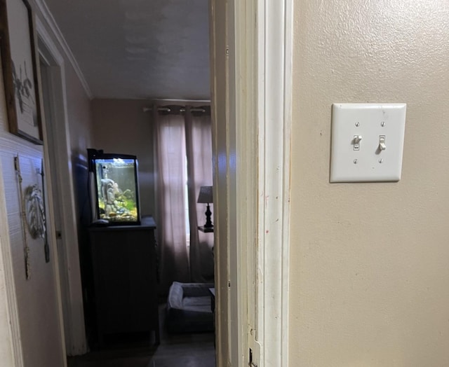 hallway featuring ornamental molding