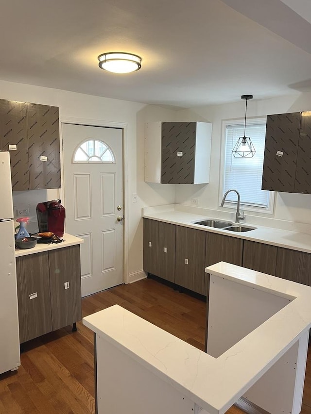 kitchen with sink, dark hardwood / wood-style flooring, white refrigerator, pendant lighting, and dark brown cabinets