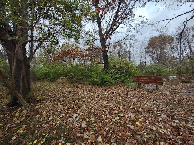 view of landscape