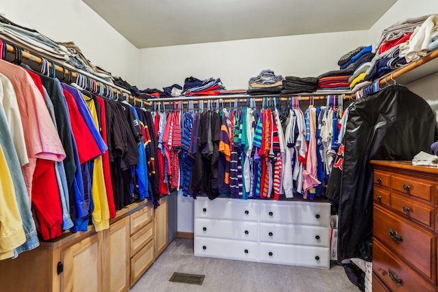 spacious closet with light carpet