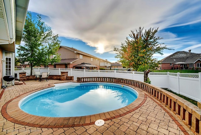 view of swimming pool with a patio