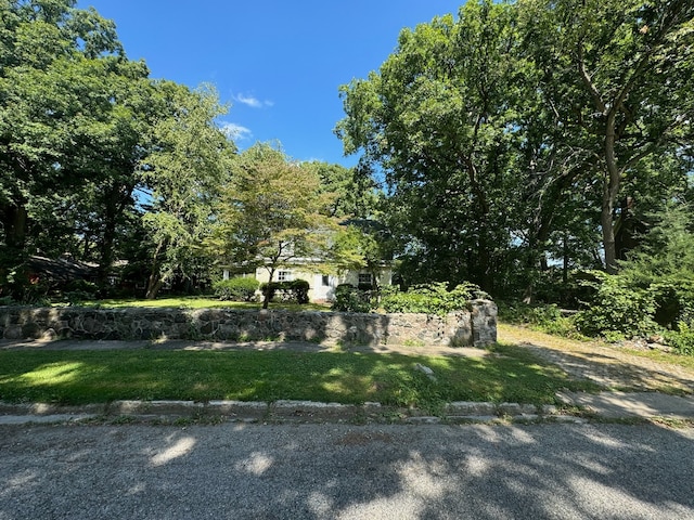 exterior space with a lawn