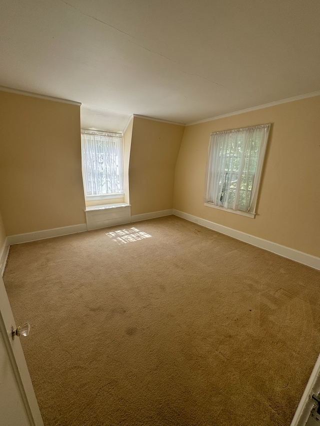 carpeted empty room with crown molding