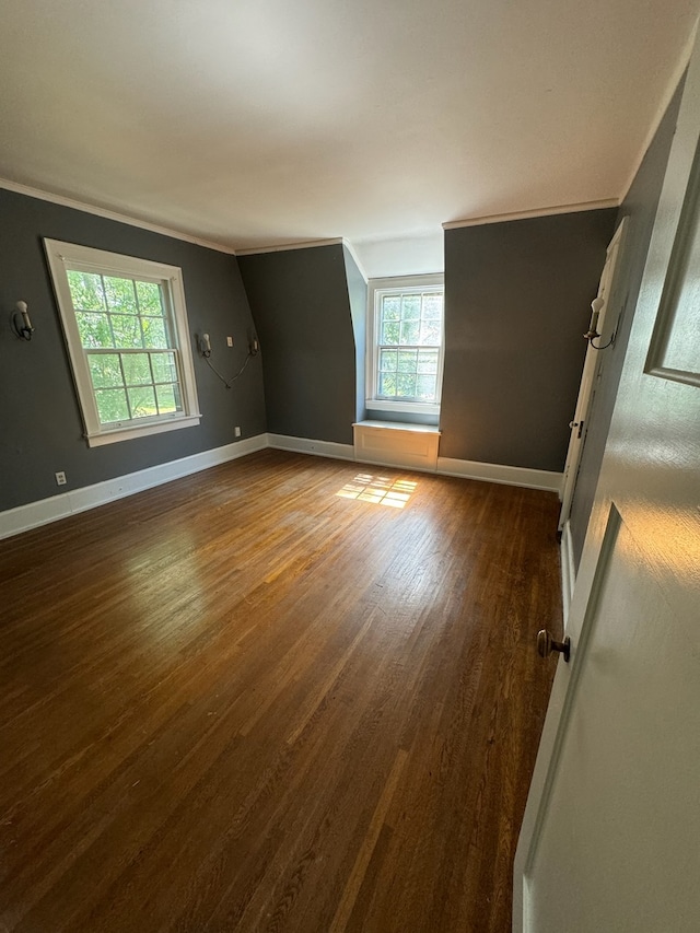 spare room featuring hardwood / wood-style flooring, a healthy amount of sunlight, and crown molding