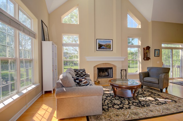 living room featuring a fireplace, light wood-type flooring, and high vaulted ceiling