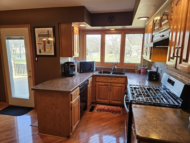 kitchen with hardwood / wood-style floors, sink, and black appliances