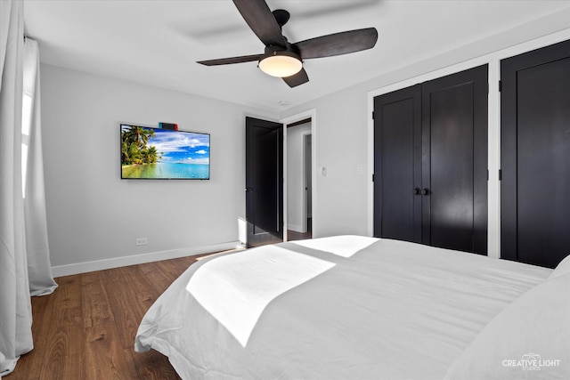 bedroom with dark hardwood / wood-style floors, ceiling fan, and two closets