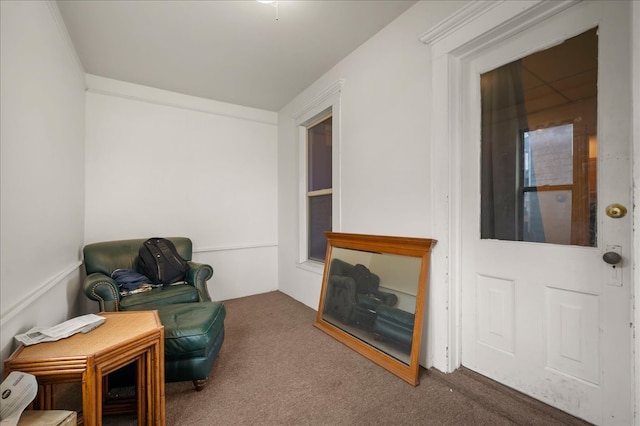 living area with dark colored carpet