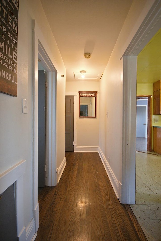 hallway featuring dark hardwood / wood-style flooring