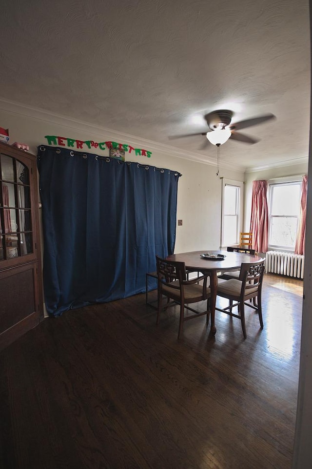 dining room featuring radiator, crown molding, ceiling fan, a textured ceiling, and dark hardwood / wood-style flooring