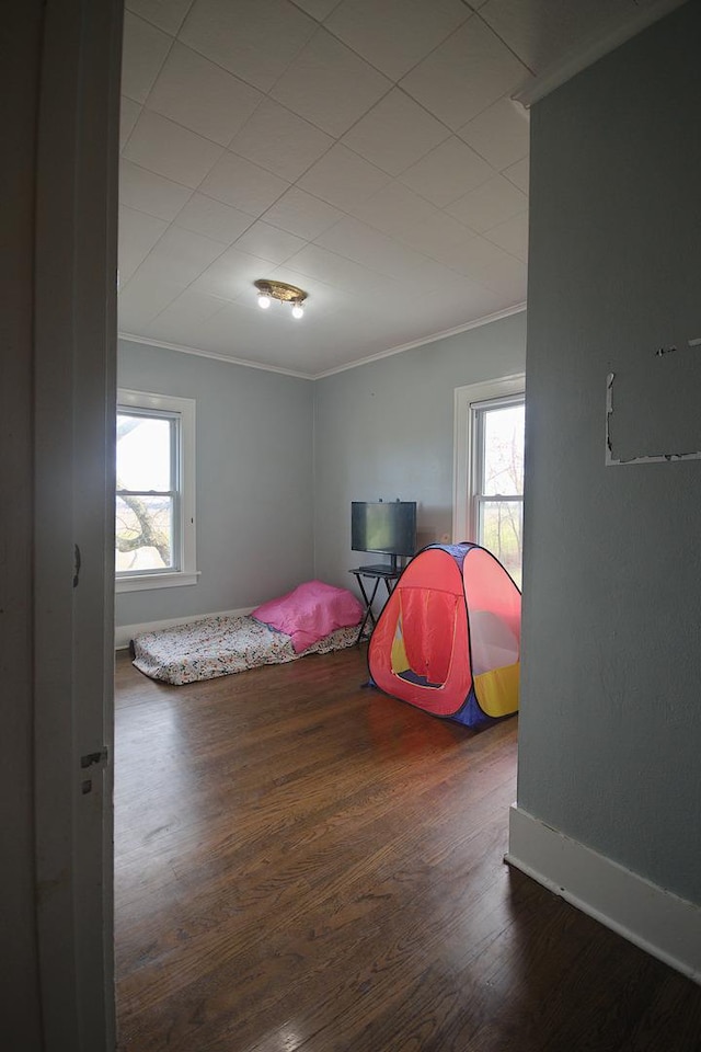 bedroom featuring multiple windows, crown molding, and dark hardwood / wood-style flooring